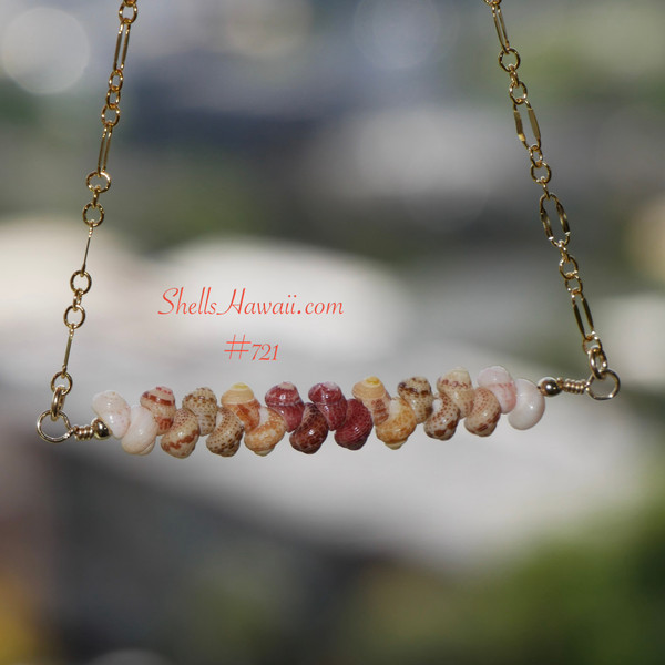PD_723
Authentic Niʻihau shell necklace featuring rare size 15 Kahelelani shells arranged in a floating ombré design with off white keʻokeʻo, ice-cream kamoa, yellow kamoa, burgundy red ʻulaʻula, and ʻōmaʻomaʻo green tones suspended on delicate gold filled chain. Elegant handcrafted Hawaiian shell jewelry with refined tropical luxury style.