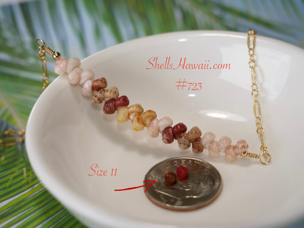 PD_723
Rare Hawaiian shell necklace displayed on tropical palm background featuring size 15 Kahelelani shells from Niʻihau in creamy off white, kamoa yellow, green, and rich burgundy colors with elegant floating shell design and delicate gold filled chain.