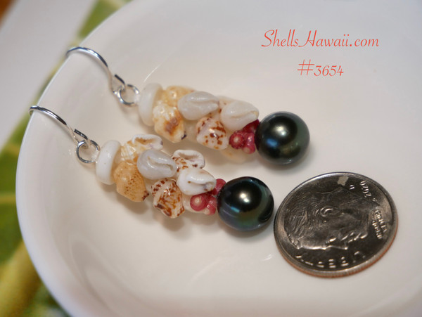 nier_3654
Size comparison of handcrafted dainty Niʻihau Pikake shell earrings featuring authentic Momi and rare red Kahelelani shells, peacock Tahitian pearls, and a U.S. coin for scale.