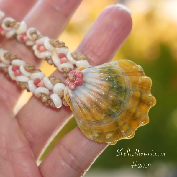 Close-up Oʻahu Sunrise shell pendant in yellow, green, gray and pink with soft pink Kahelelani shell flower on Niʻihau shell lei