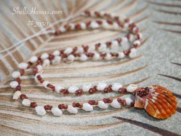 Close-up of Hawaiian shell lei with white Momi, burgundy Kahelelani and deep orange Oahu sunrise shell pendant #2030