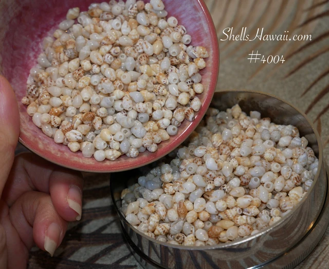 Authentic Niʻihau Shell Jewelry Made with Aloha by Janjira