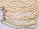 10 strands Laiki shell lei/necklace. Hawaiian traditional wedding lei #1072