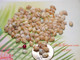 100 pcs mix color Momi shells supply from Hawaii #2410