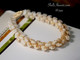 Authentic Niʻihau shell bracelet — 7" Pikake style featuring ombré Momi shells with transitioning hues of Lenalena, ʻUliʻuli, and Kahelelani