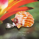 Orange and yellow Hawaiian sunrise shell pendant with authentic Niʻihau shells and Kahelelani flower accent