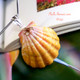 Rare Hawaiian sunrise shell pendant with authentic Niʻihau Kahelelani shell flower accent