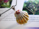 Unique Hawaiian sunrise shell pendant with authentic Niʻihau shells and Kahelelani flower accent