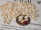 100 Un-Poked Momi Shells from Niʻihau – Off-White, High Luster, Mix Size #2379