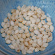 100 Un-Poked Momi Shells from Niʻihau – Off-White, High Luster, Mix Size #2378