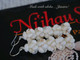 NIER_3053