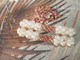2 3/4" Niʻihau Momi crown flower earrings with Kahelelani shells in poepoe style, handcrafted with genuine shells in soft ivory, pink, and tan hues. Classic Hawaiian crown flower design.