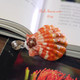 Hawaiian sunrise shell pendant with authentic Niʻihau shells and Kahelelani flower accent