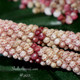 Authentic Niʻihau shell earrings — 1 3/4″ Poepoe style featuring Kahelelani Keʻokeʻo natural white with pink banding, ʻŌmaʻomaʻo light green, and ʻUlaʻula burgundy shells, made with size 13.5 shells and finished with 14k gold-filled ear wires.