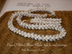 ninl_1099