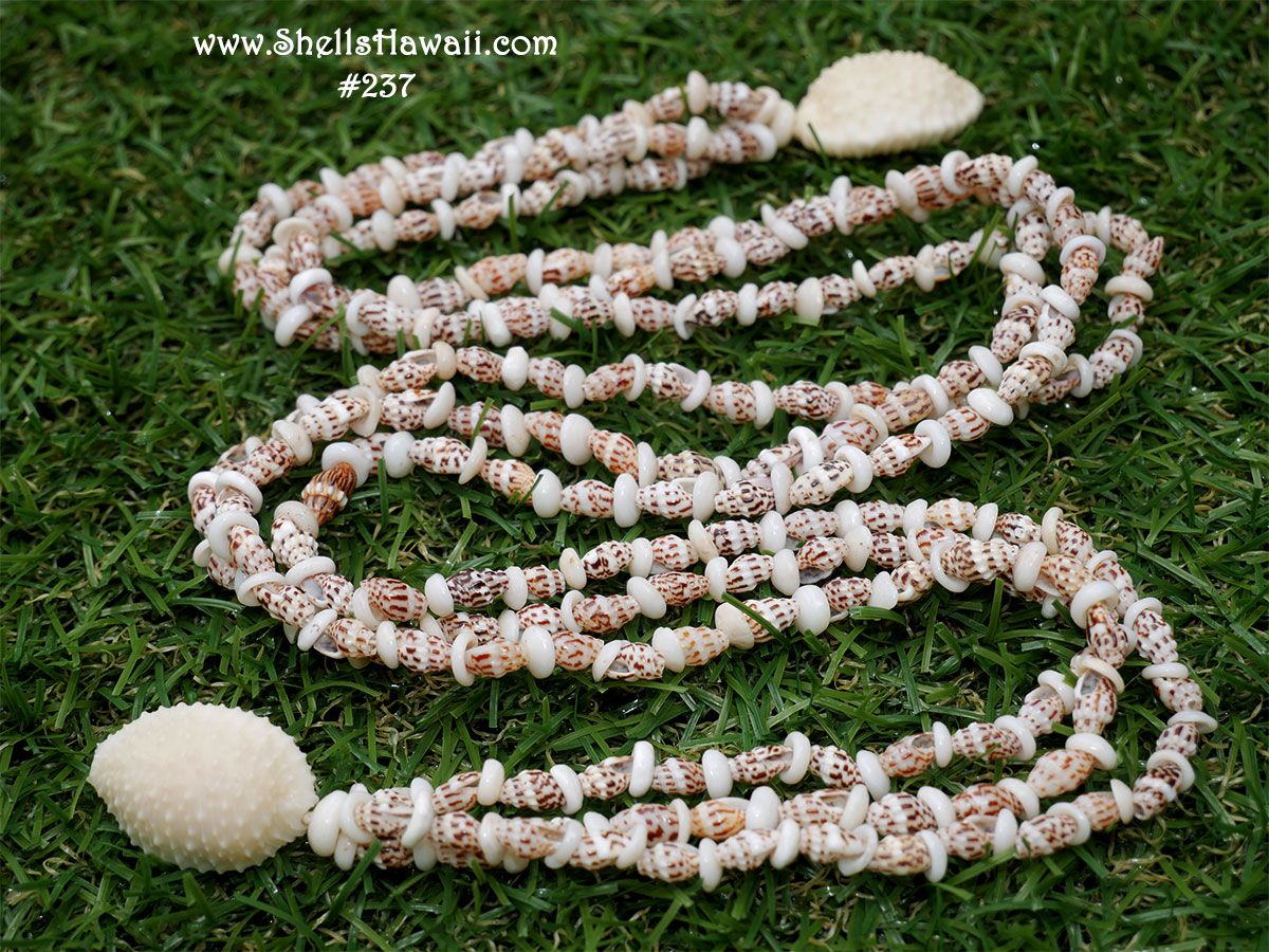 Hawaiian Puka Shell Bracelets 23 ½