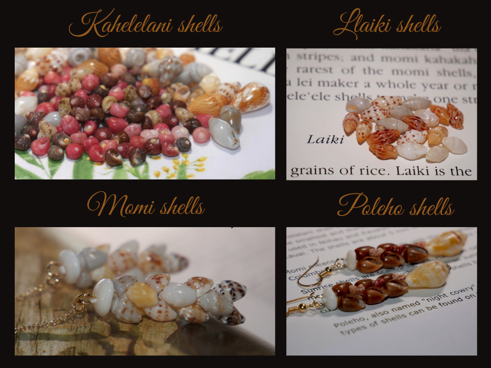education-shells-use-in-niihau-jewelry.jpeg