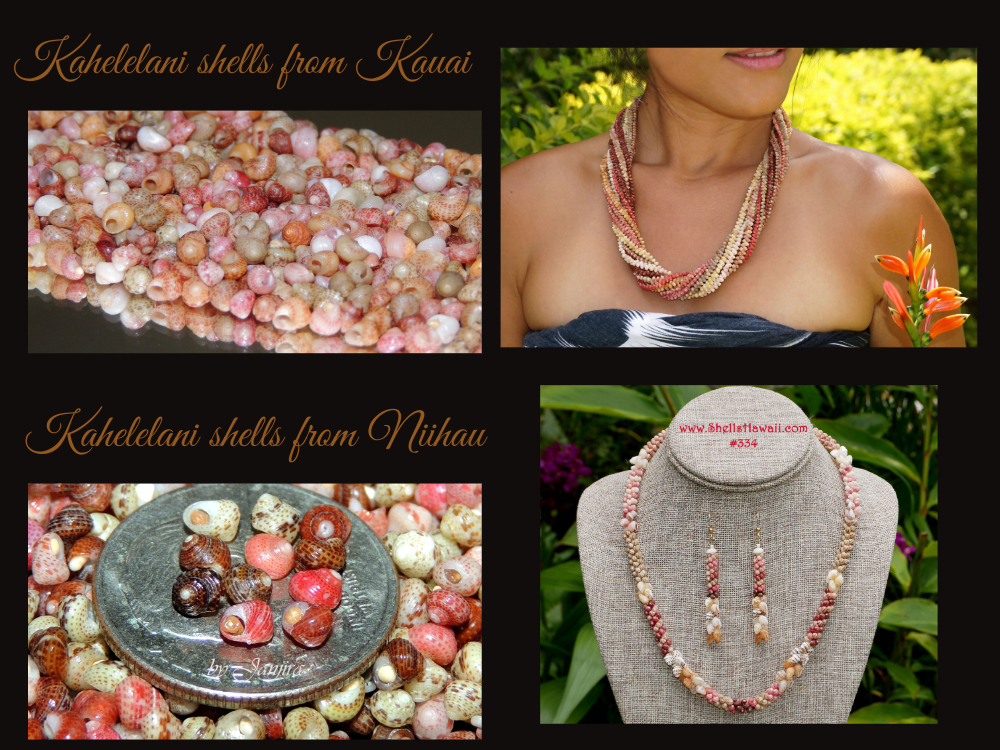 kahelelani-shells-subcategory-banner.jpeg