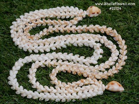 Triple strands Momi pikake style shells lei/Niihau shell lei