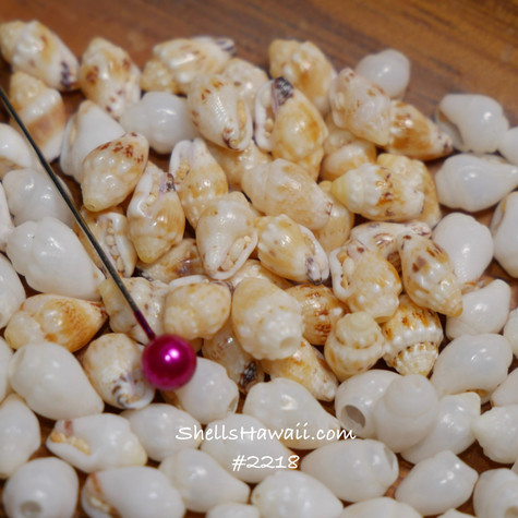 SALE☆Mia Coconut x White Shell Mサイズ Amazon.com | MALACASA 24 OZ Cereal Bowls, Porcelain Soup Oatmeal