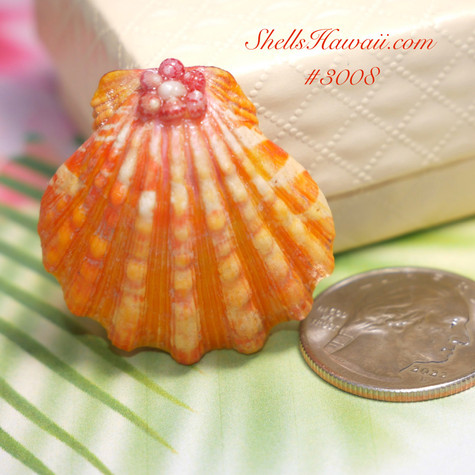 P1230624__14421.1722714644.475