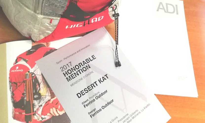Desert Kat Honorable Mention