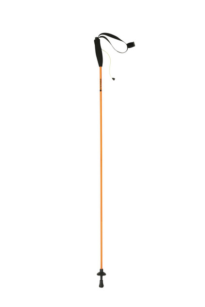 BASTONCINI EIGER CM.115 coppia - oro