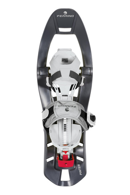 SNOWSHOES PINTER SPECIAL - grigio
