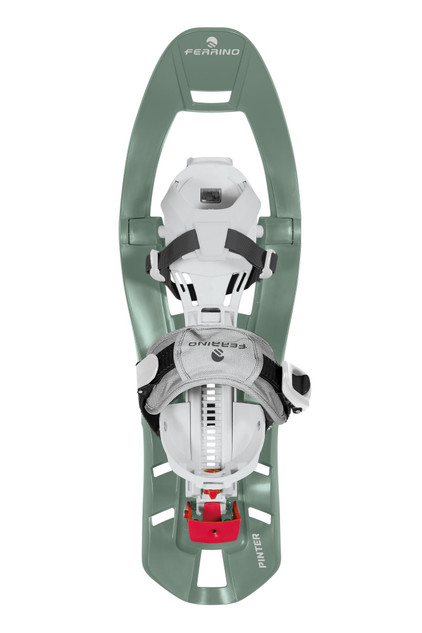 PINTER SPECIAL - verde PINTER SPECIAL - verde