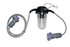 MODULO LUCE INCANDESCENZA 24V 60W