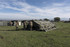 TENDA MV 6x6 FR - MONTAGGIO VELOCE - AVV