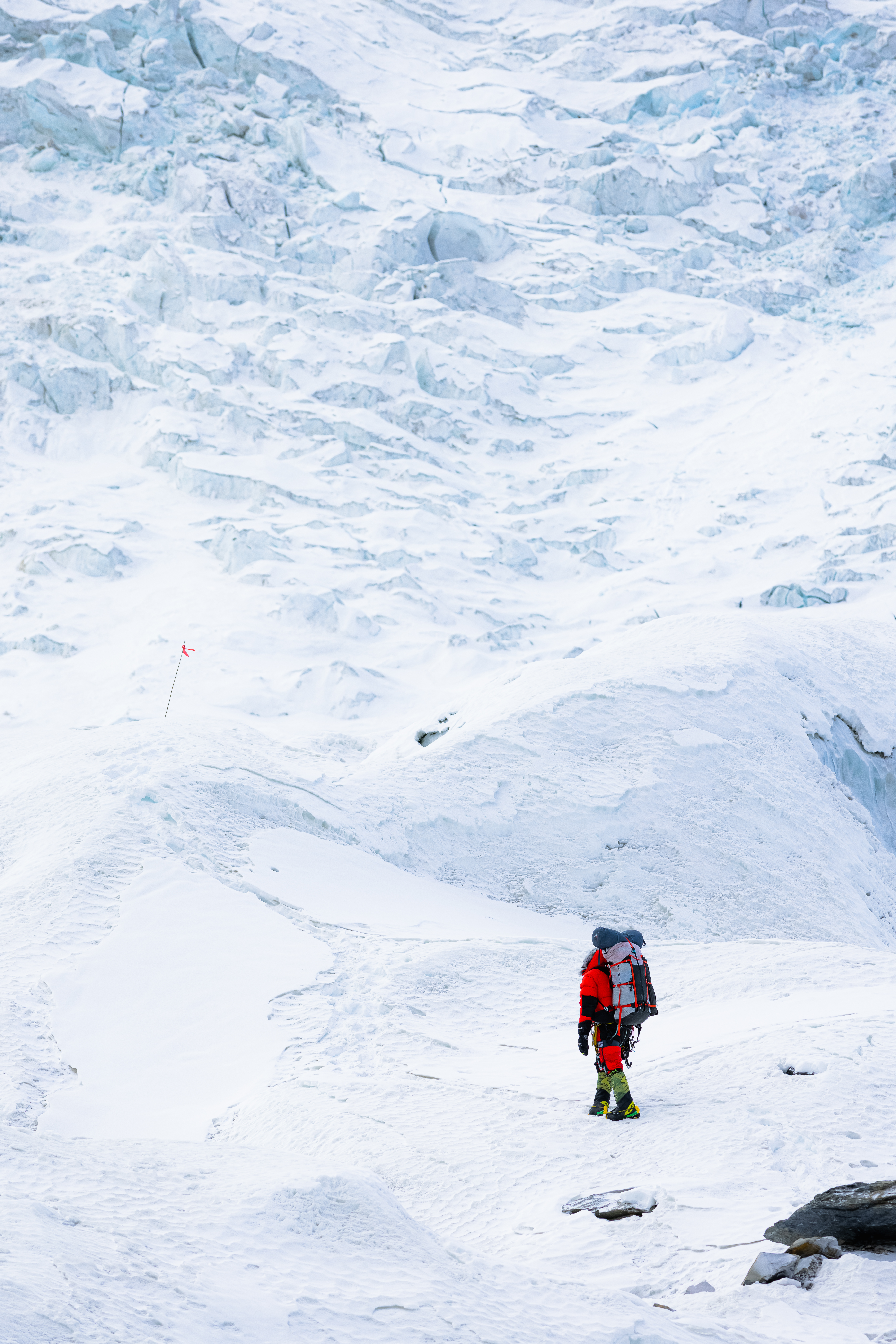 F.A.Q. - Domande Frequenti