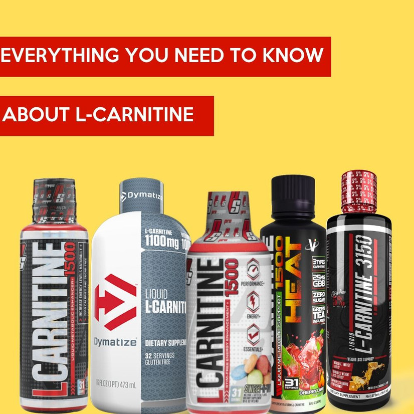 Everything You to Know About L-Carnitine - My Supplement Store