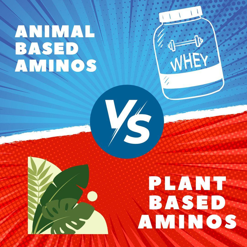 Animal vs Plant Based Amino Acids