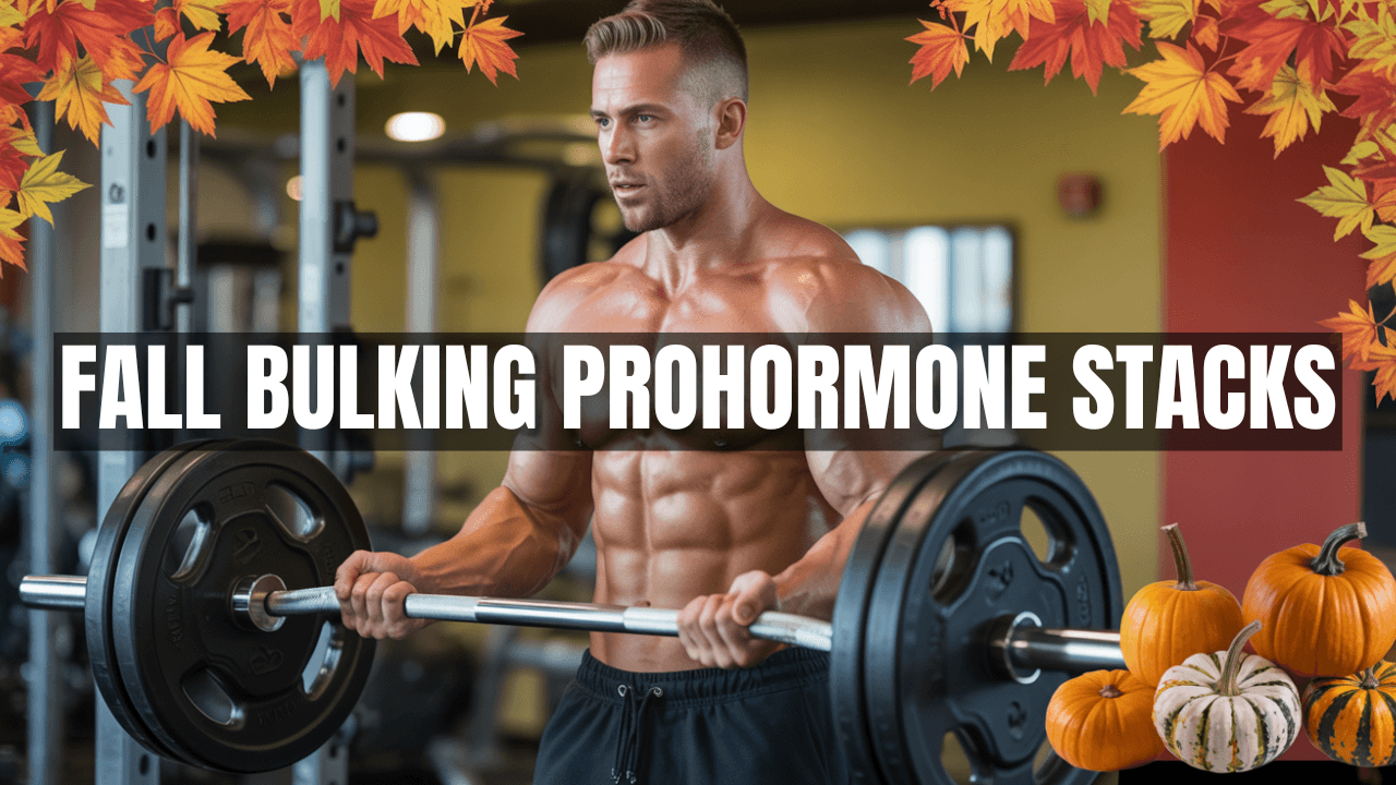 Best Bulking Stack for Fall 2025