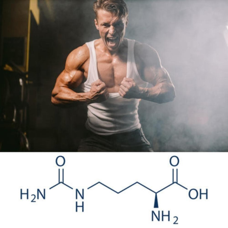 Citrulline Dosage For The Best Pumps