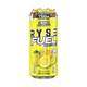 Ryse Supplements RYSE Energy Drink RTD 12 Case 
