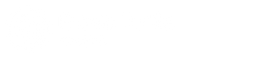 Bionic Turtle - A CeriFi Company
