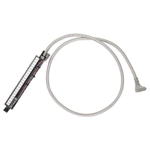 CABLE PARA MODULO DE INTERFASE DE E/SCALIBRE 22 AWG, 300V, 1 - 1492CABLE010F