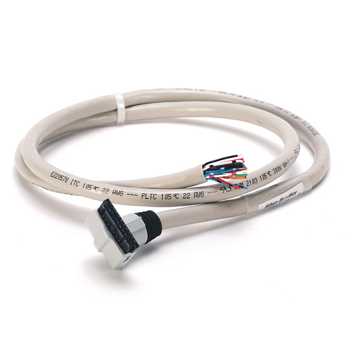 CABLE PARA IFM 20 PUNTOS DIGITAL - 1492CABLE010P