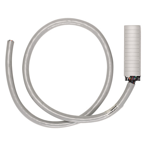 CABLE PARA MODULO DE ENTRADAS Y SALIDAS CON36 CANALES - 1492CABLE025TBCH