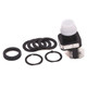 30MM PILOT LIGHT 800H PB - 800HQR24W