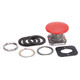 30MM MOMENTARY PUSH BUTTON 800 - 800TD6J