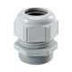 CONECTOR Glandula Genérico S1513