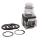 BOTÓN PULSADOR MOMENTÁNEO DE 30 MM, VOLTAJE COMPLETO, 24 V CA / CC, INCANDESCEN - 800TQB24WX