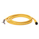 CABLE PARA SENSOR RECTO 4 PINES, CABLE DE PVC, AMARILLO TRENZADO, SIN CONECTOR, 2 METROS - 889DF4EC2