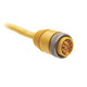 Patchcord : Mini / Mini Plus , - 889NF12ACNU12