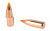 Nosler 22 Cal 55gr 100ct
