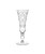 Lobmeyr Drinking Set No. 231 Barock - Engraved Champagne Flute