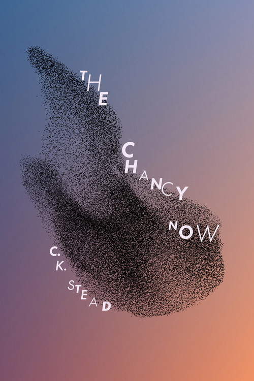 The Chancy Now: 120 Sonnets, by C. K. Stead. Design by Duncan Munro